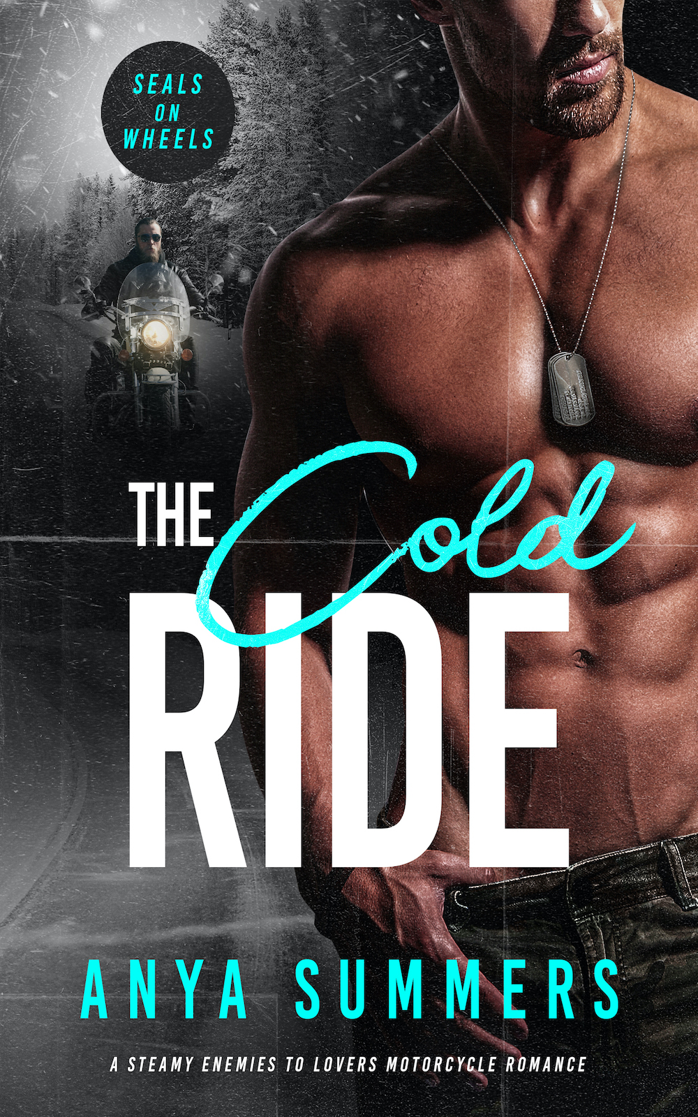 COVER REVEAL: THE COLD RIDE BY ANYA SUMMERS BOOK #2 IN SEALs ON WHEELS&nbsp;SERIES