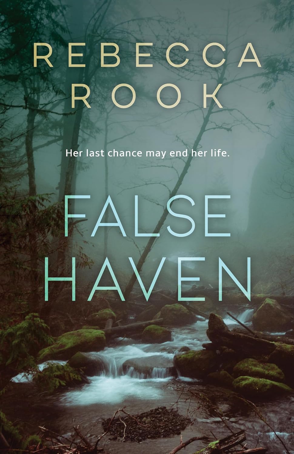 BOOK BLITZ: FALSE HAVEN BY REBECCA ROOK +&nbsp;GIVEAWAY