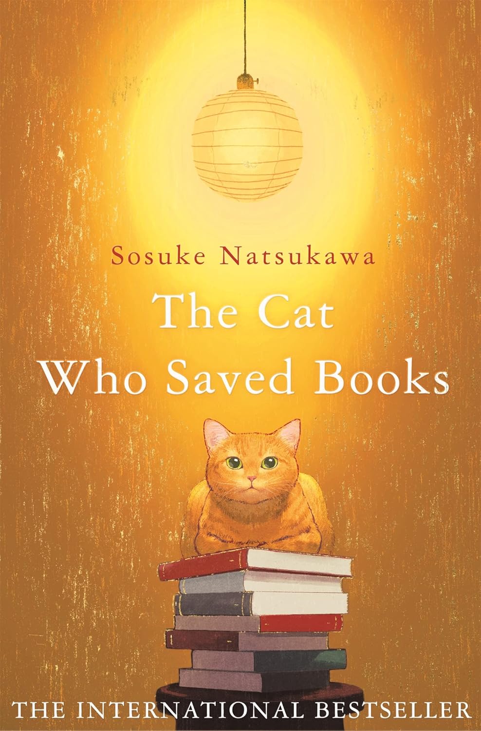 REVIEW: THE CAT WHO SAVED BOOKS #1 THE CAT WHO… BY SŌSUKE NATSUKAWA, LOUISE HEAL KAWAI&nbsp;(TRANSLATOR)