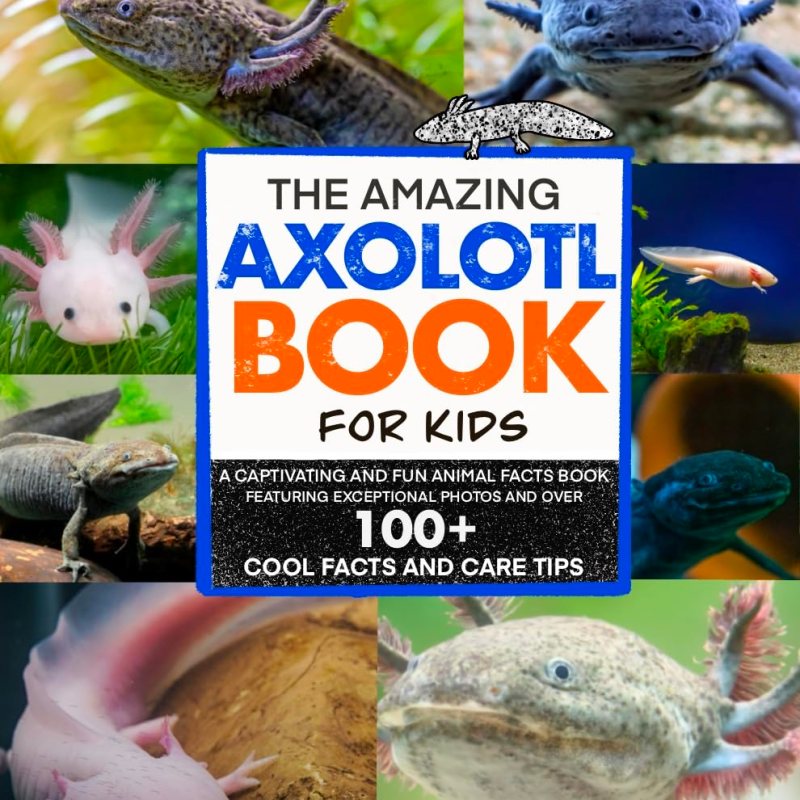 HIDDEN GEMS BOOKS ARC REVIEW: THE AMAZING AXOLOTL BOOK FOR KIDS BY WONDER CAT&nbsp;BOOKS