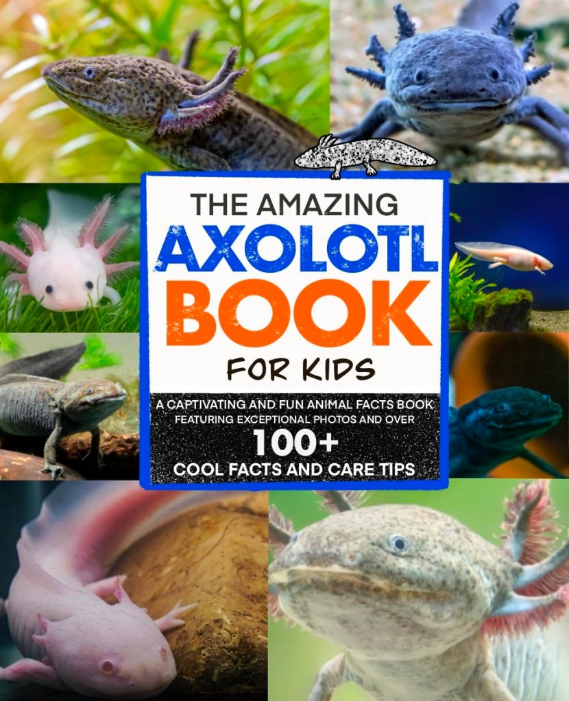 HIDDEN GEMS BOOKS ARC REVIEW: THE AMAZING AXOLOTL BOOK FOR KIDS BY WONDER CAT&nbsp;BOOKS