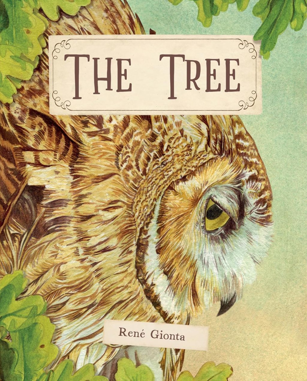 NETGALLEY ARC REVIEW: THE TREE BY RENÉ GIONTA AND MONTSE RUBIO&nbsp;ILLUSTRATOR