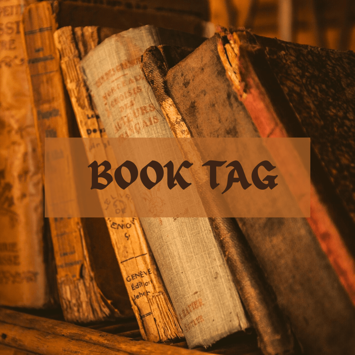 THE BEGINNING OF THE YEAR BOOK&nbsp;TAG