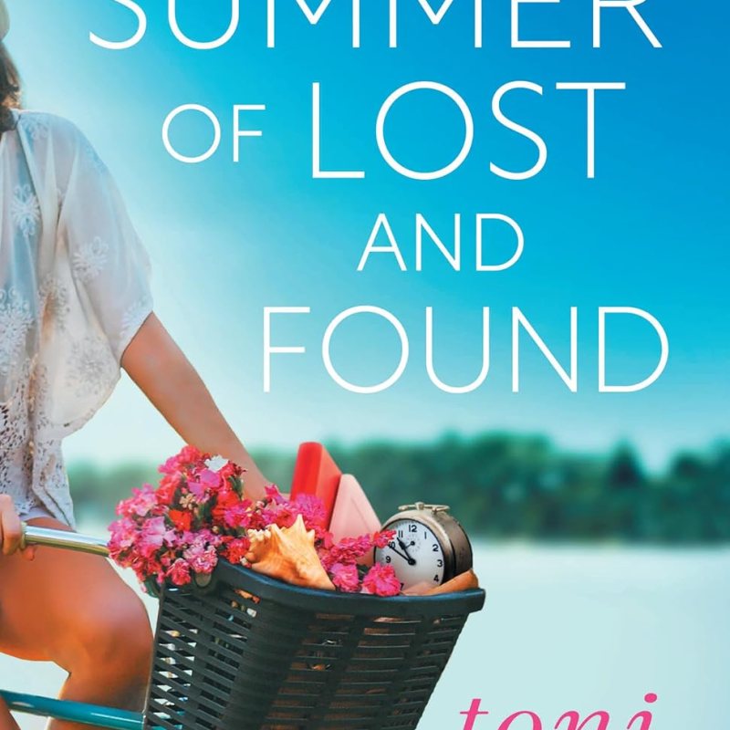 NETGALLEY ARC REVIEW : THE SUMMER OF LOST AND FOUND BY TONI&nbsp;BLAKE