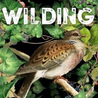 REVIEW: WILDING BY ISABELLA TREE (REWILD YOUR SHELF BOOK CLUB&nbsp;PICK)