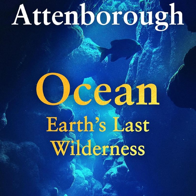 REVIEW: OCEAN BY DAVID ATTENBOROUGH AND COLIN BUTFIELD (REWILD YOUR SHELF BOOK CLUB&nbsp;PICK)