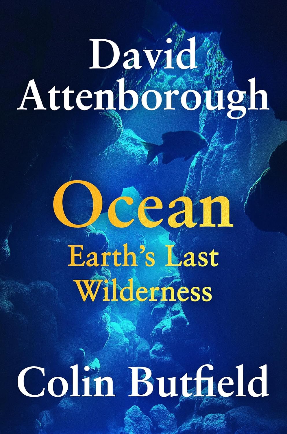 REVIEW: OCEAN BY DAVID ATTENBOROUGH AND COLIN BUTFIELD (REWILD YOUR SHELF BOOK CLUB&nbsp;PICK)
